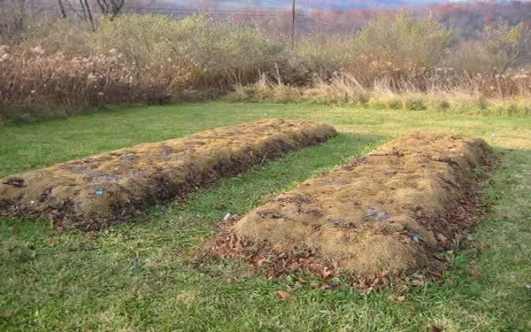 Lasagna gardening - piles