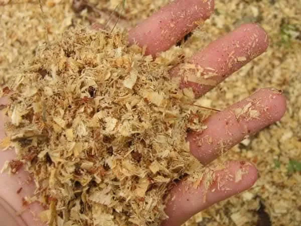 How to reuse sawdust