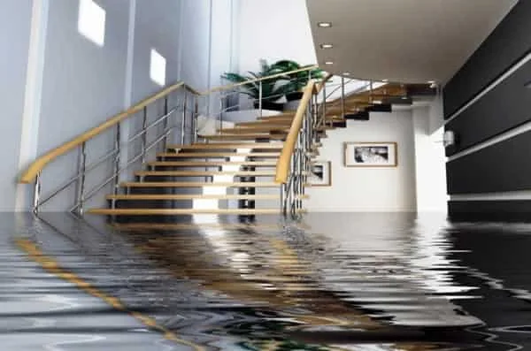 How to repair your home after water damage