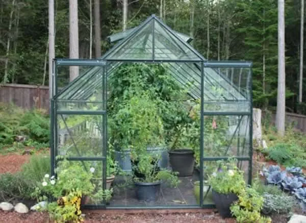 Cut down on food expenses with greenhouse