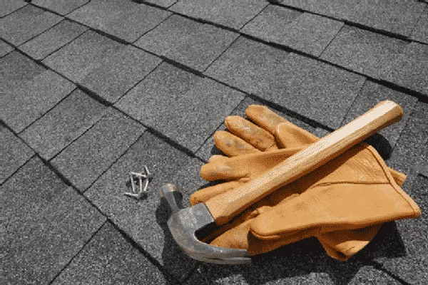 How to preserve and maintain your roof