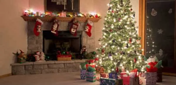 Home decorator Christmas gifts