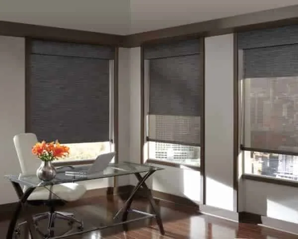 Modern blind styles
