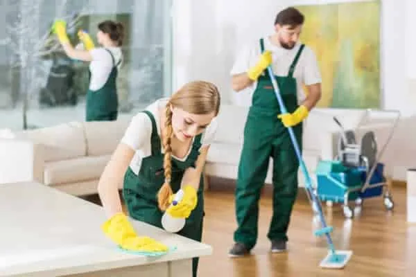 professional house cleaning