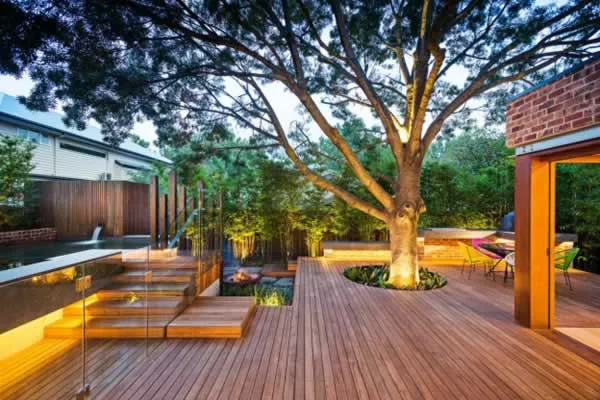 Turn your backyard into starlight sanctuary