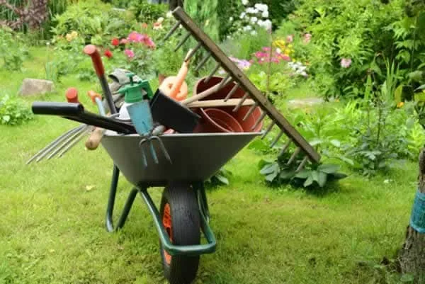 gardening tools in a wheelbarrow