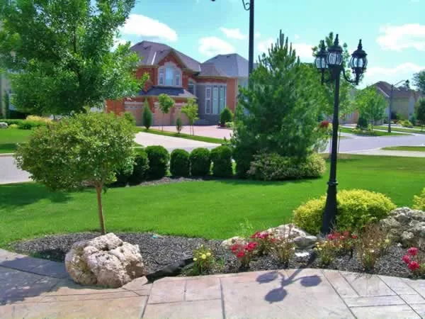 How to take care on your yard on a budget