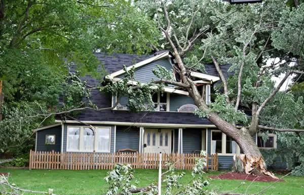 Property damage insurance claim form