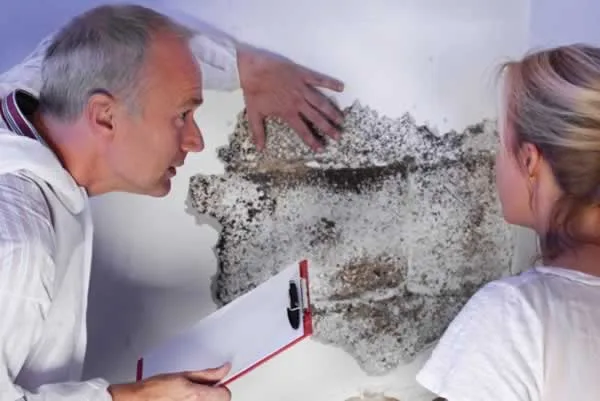 Protect your family from mold exposure