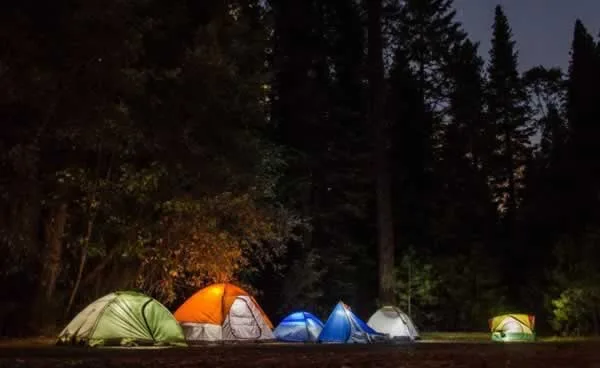 Why You Should Bring a Portable Generator When Camping With Friends