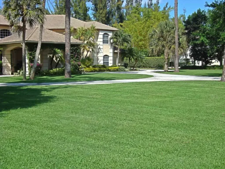 amazing lawn in front of luxury house