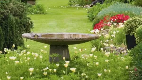 Keeping Your Gardens Pest-Free The Organic Way
