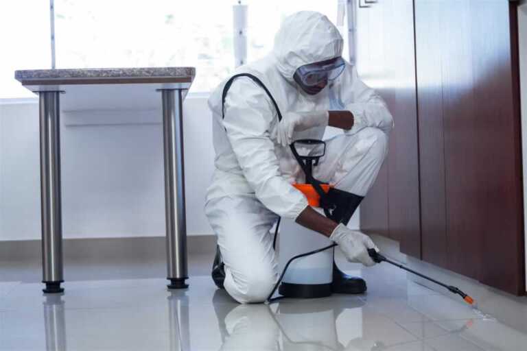 pest control services for commercial buildings