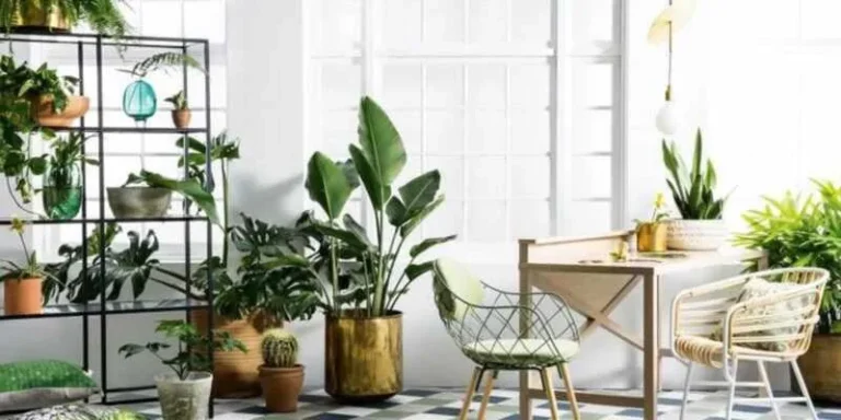 High Indoor Air Quality - 5 Essential Tools