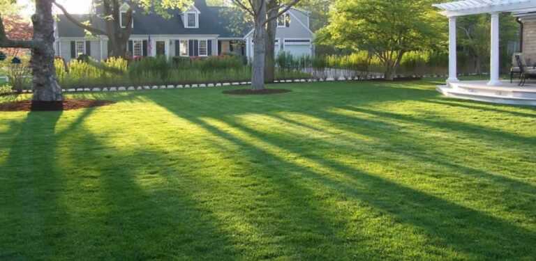 Hiring A Lawn Care Professional In 4 Easy Steps