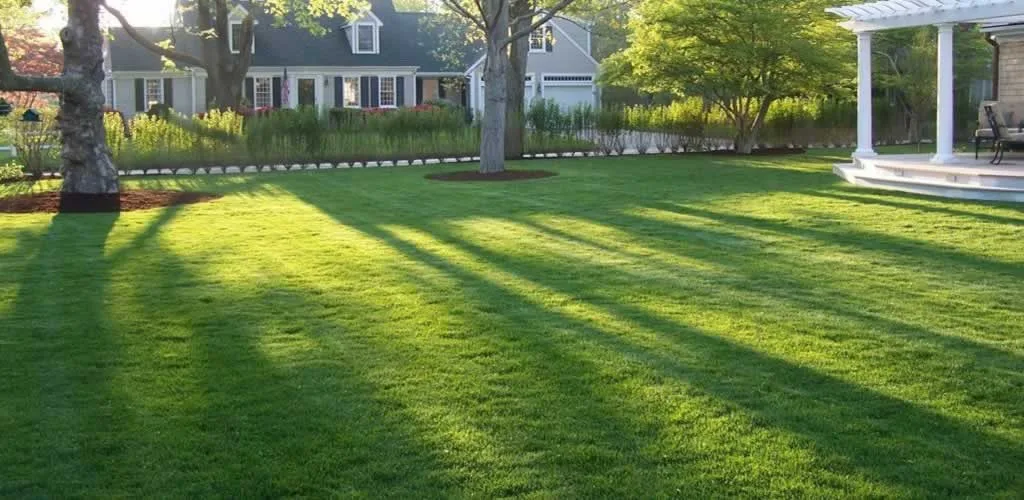 Hiring A Lawn Care Professional In 4 Easy Steps