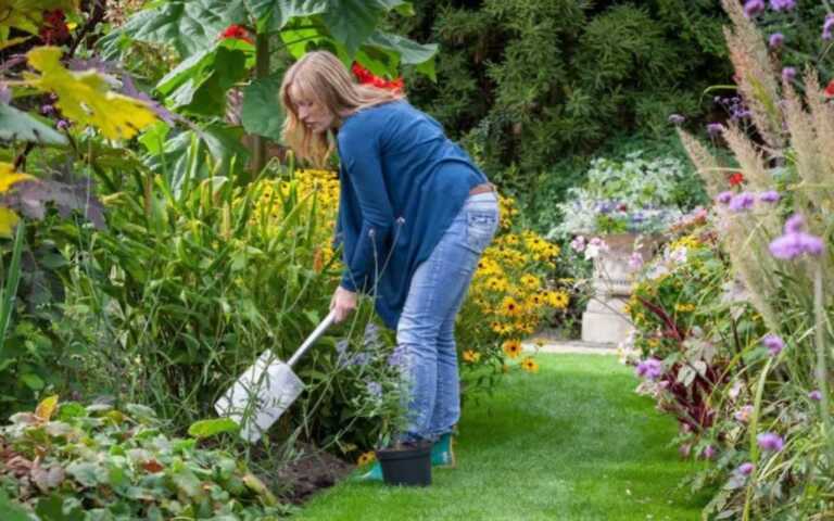 Tips to keeping up with your home and garden