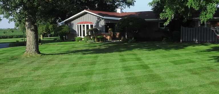 What is The Right Grass for My Lawn