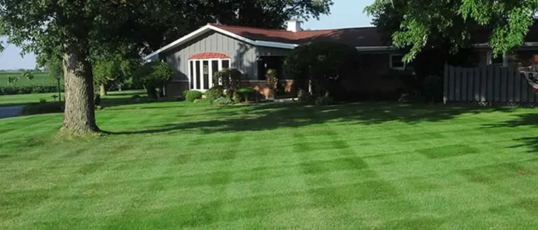 What is The Right Grass for My Lawn