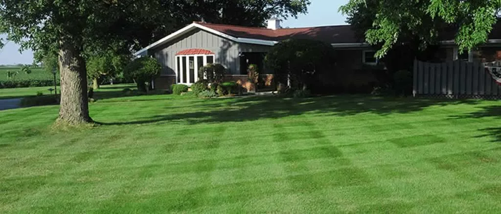 What is The Right Grass for My Lawn