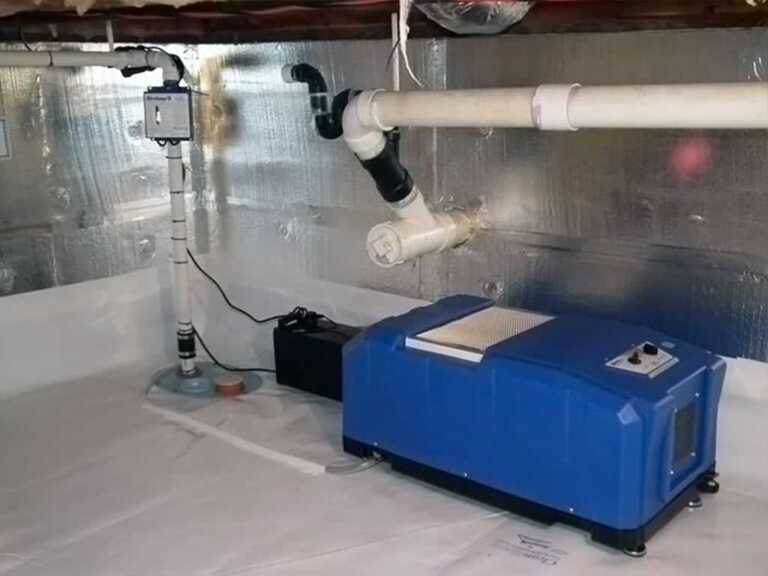 Basement Dehumidifiers Help Relieve Allergies
