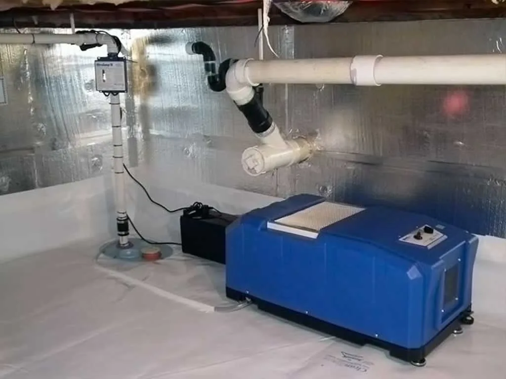 Basement Dehumidifiers Help Relieve Allergies