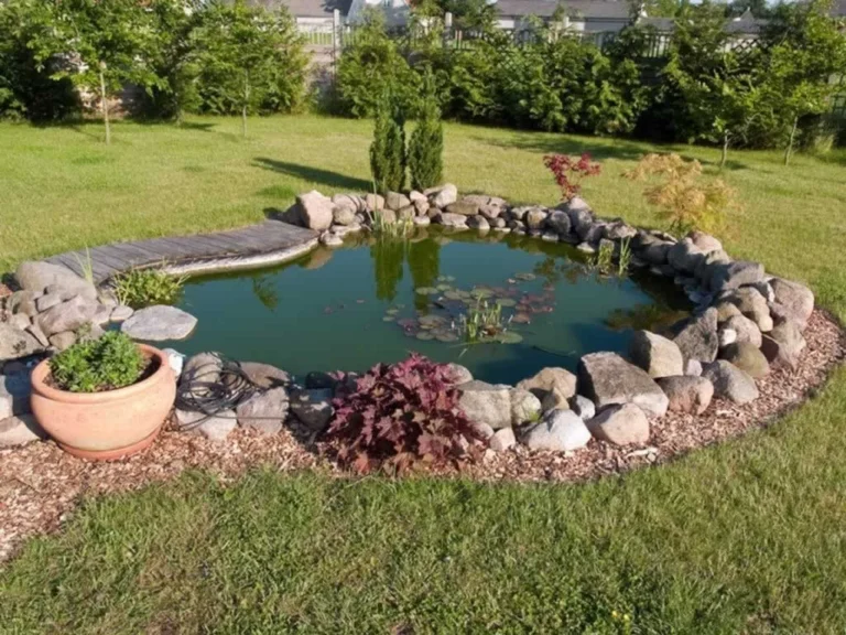 Water Pond Maintenance