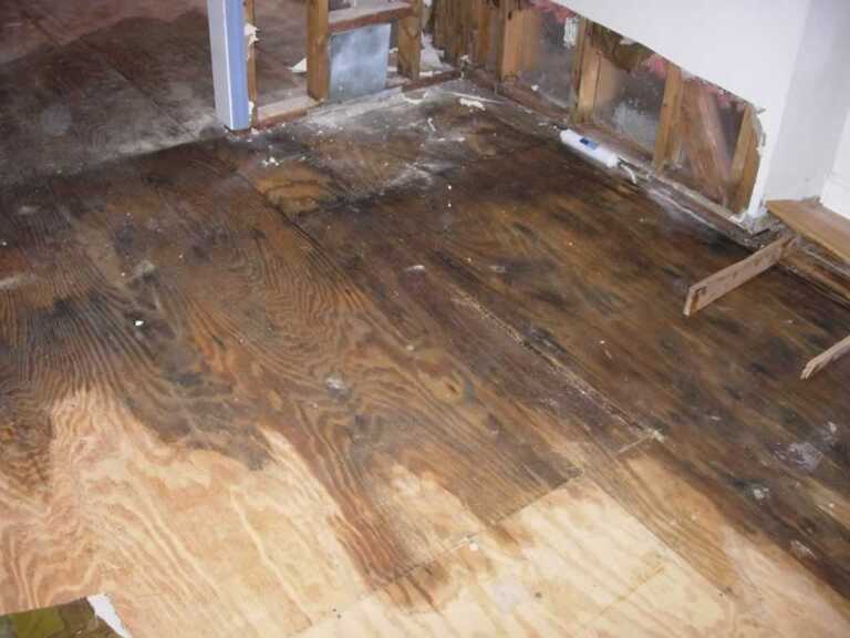 Consequences of Delaying Water Damage Repairs
