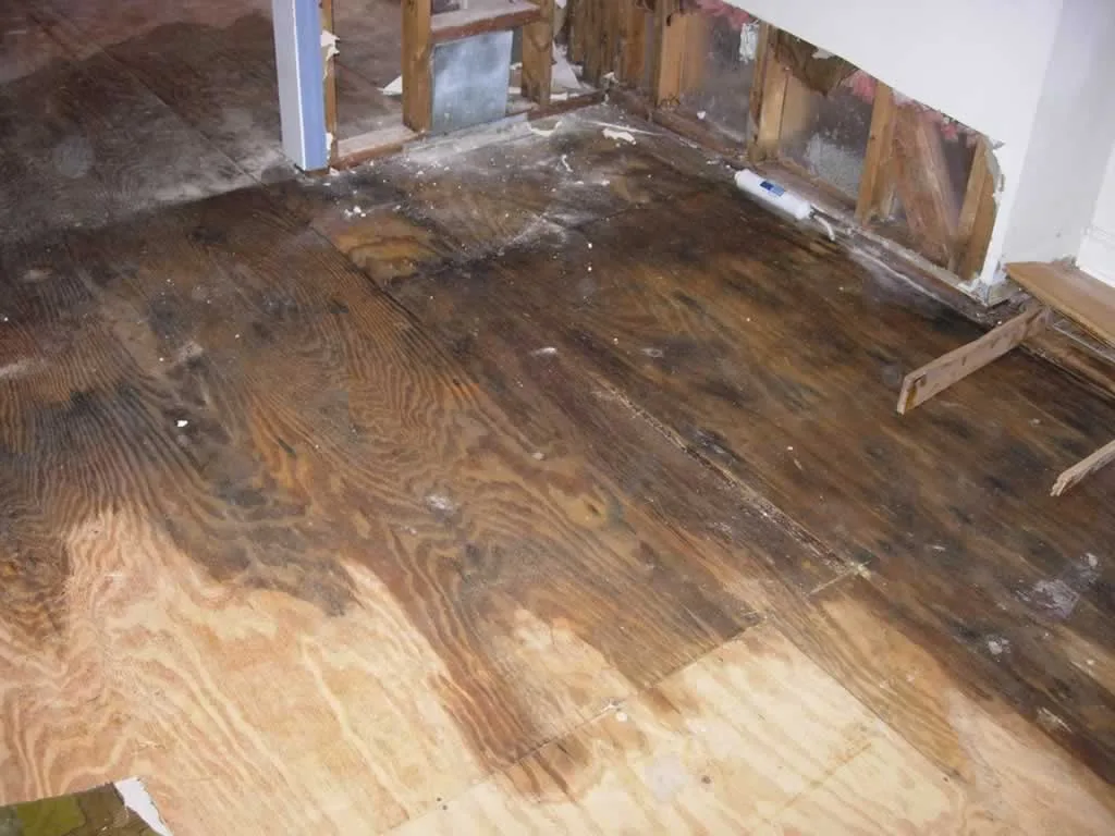 Consequences of Delaying Water Damage Repairs