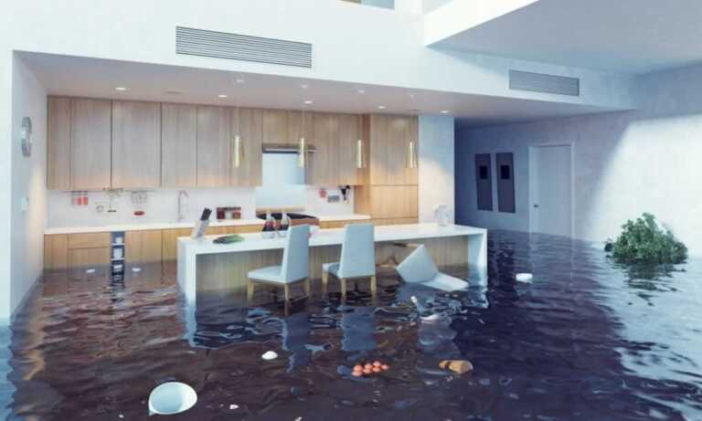 Tips to Finding Water Damage Professionals in Asheville NC