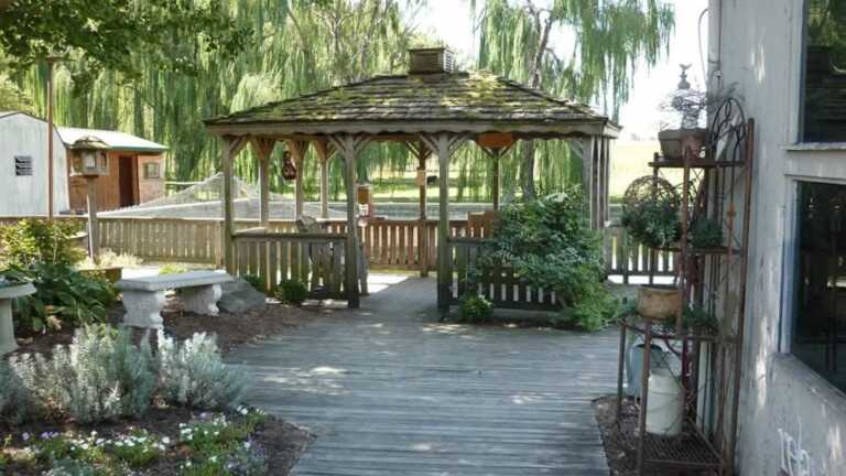 How to Choose the Perfect Landscape