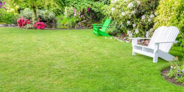 How to Renovate Your Lawn Like a Pro