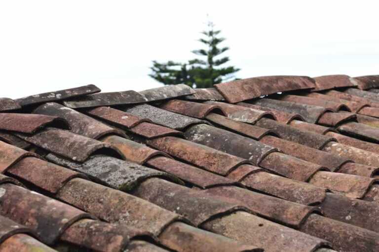 Roof Repair Tips and Tricks
