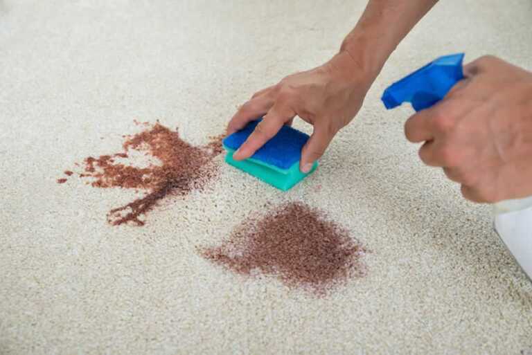 Rug Cleaning - Top Tips