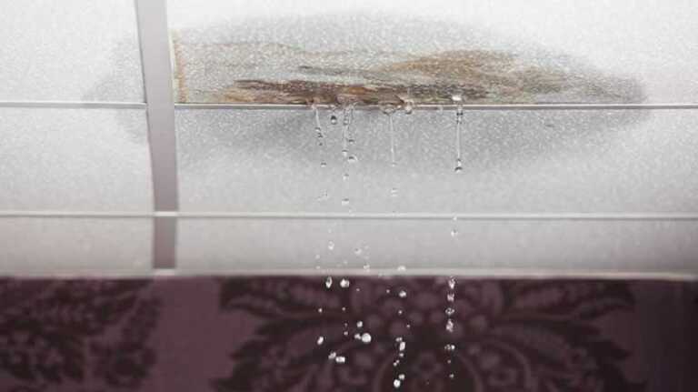 3 Common Areas on Your Roof That Might Be Leaking