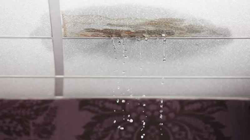 3 Common Areas on Your Roof That Might Be Leaking