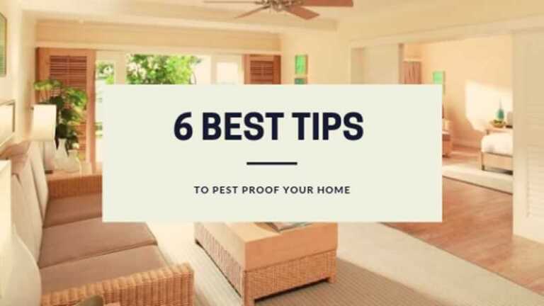Best tips to Pest Proof your Home