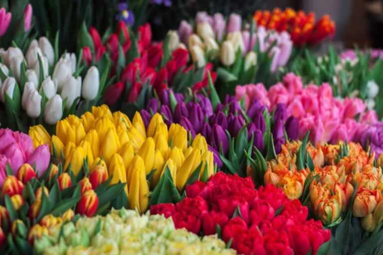 Florist Taboos You Should Break