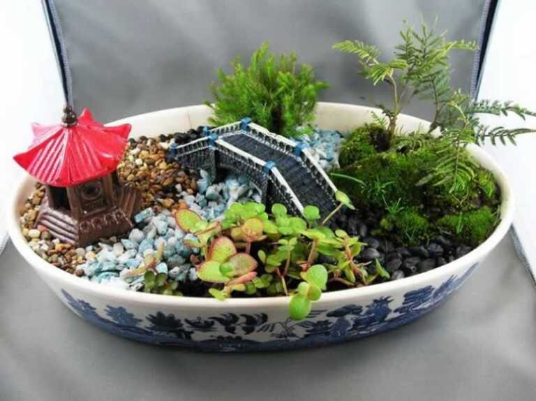 6 Plants That Will Perfectly Fit Into A Little Dish Garden