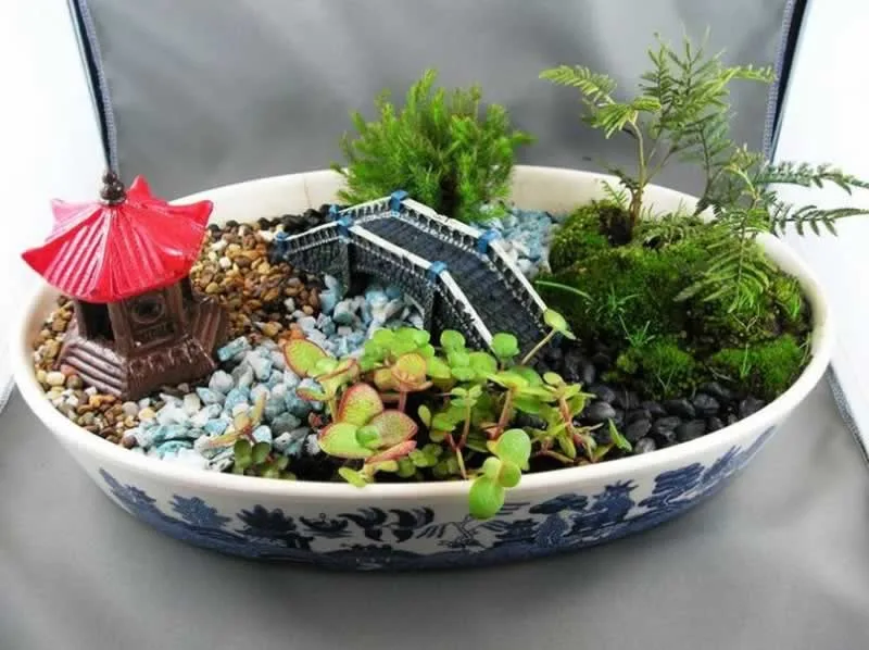 6 Plants That Will Perfectly Fit Into A Little Dish Garden