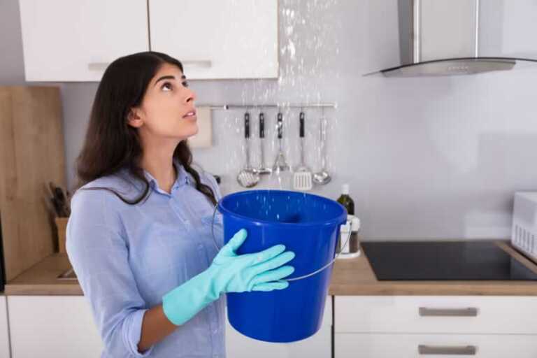 Some of The Common Reasons Behind a Leaking Roof