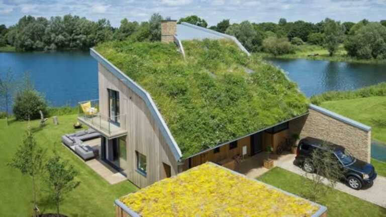 5 Easy Ways to Make Your Home More Eco-Friendly