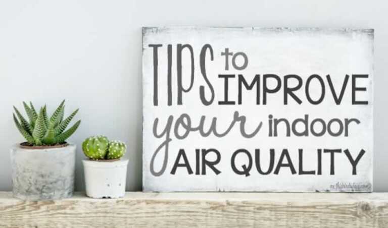 Easy Tips to Improve Indoor Air Quality