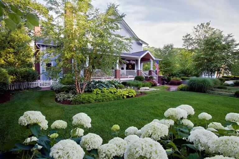 How Do Using Native Plants Make Landscape Maintenance Easier