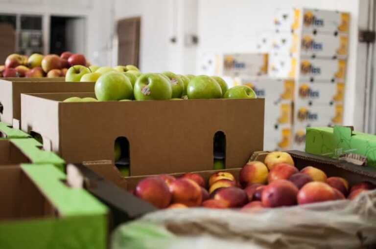 How a Fruit wholesale supplier delivery can benefit you