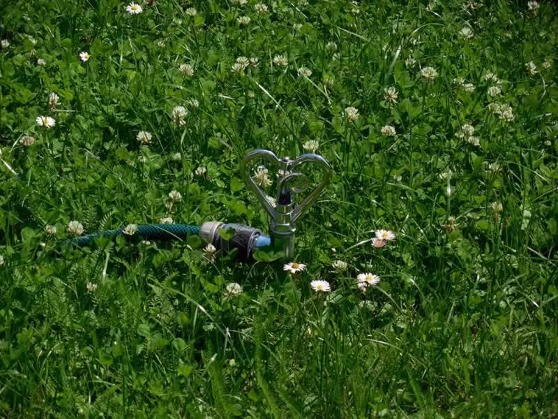 How to Recognize, Prevent, and Fix a Damaged Irrigation System