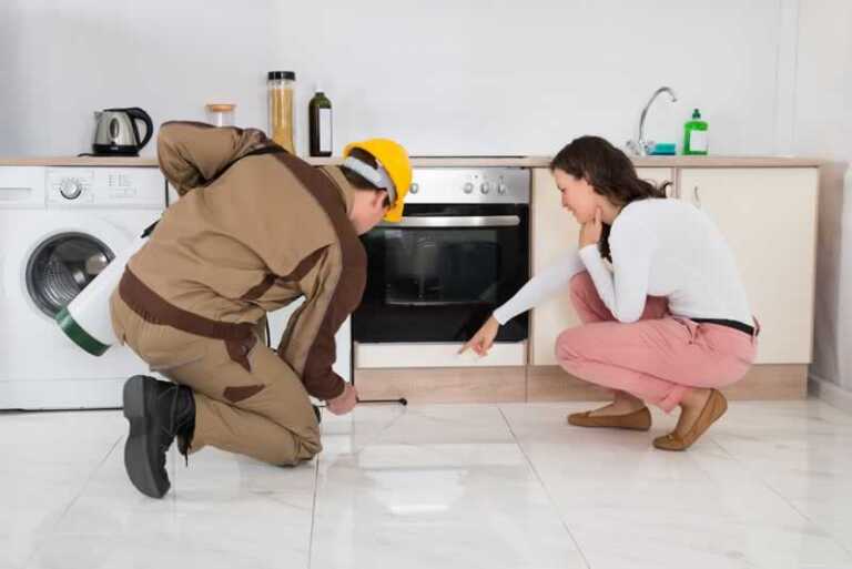 Why you need to hire a Pest Control professional