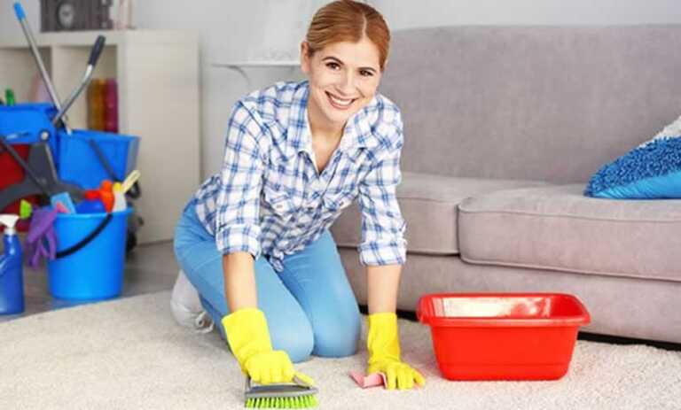 Cleaning Tips How to Naturally Deep Clean Your Carpet