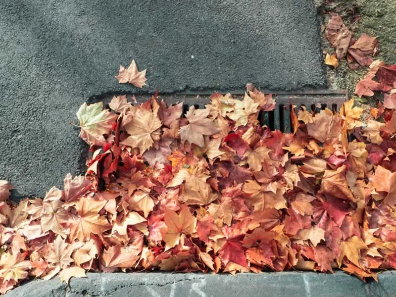 Prevent a Blocked Stormwater Drain
