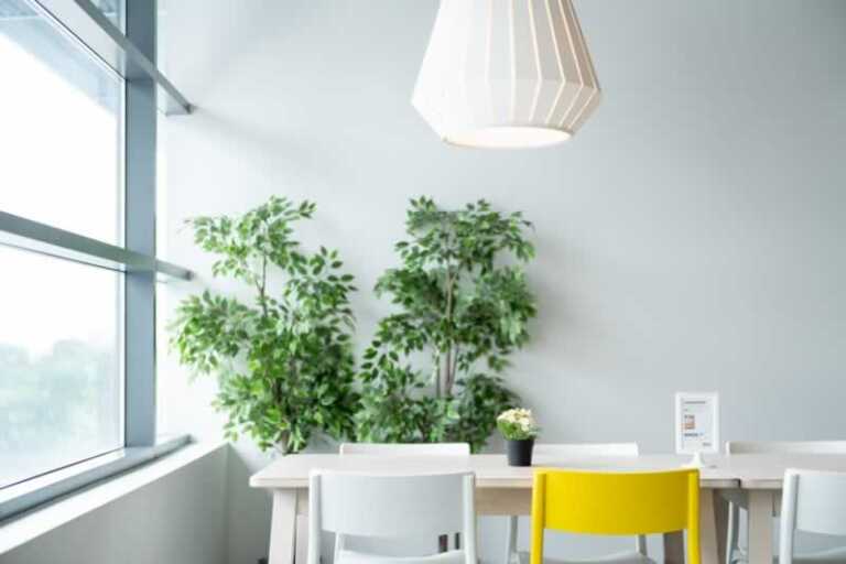 home with indoor plants and good air quality